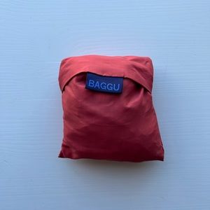 Standard Baggu - Salmon Color